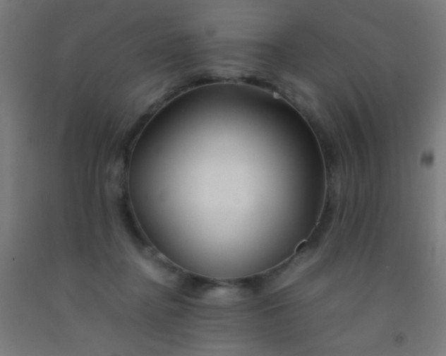 X0000092290364200709281310