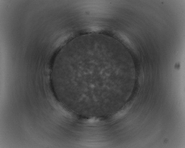 X0000092290366200709281310