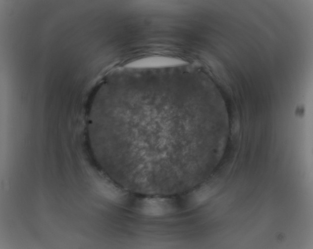 X0000092290367200709281310