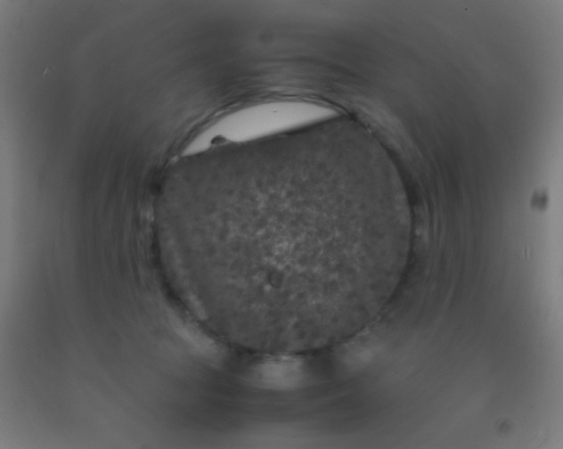 X0000092290369200709281310