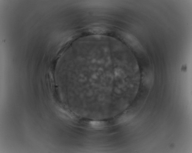 X0000092290371200709281310