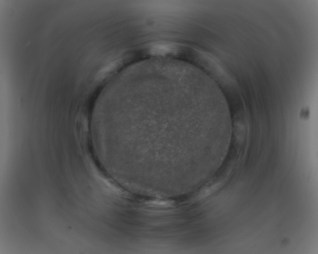 X0000092290375200709281311