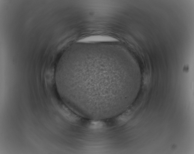 X0000092290376200709281311