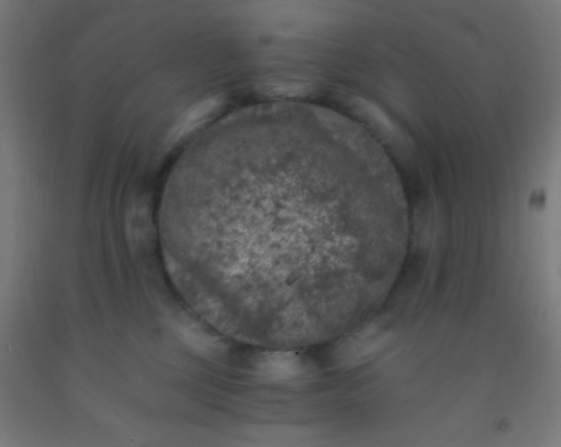 X0000092290377200709281311