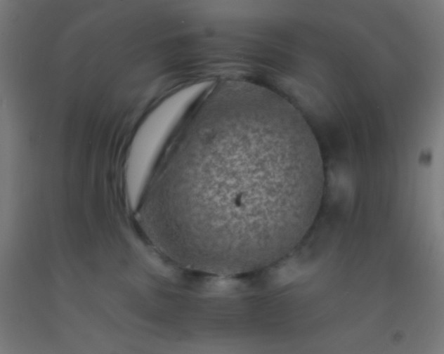 X0000092290379200709281311