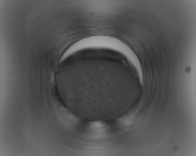 X0000092290380200709281311