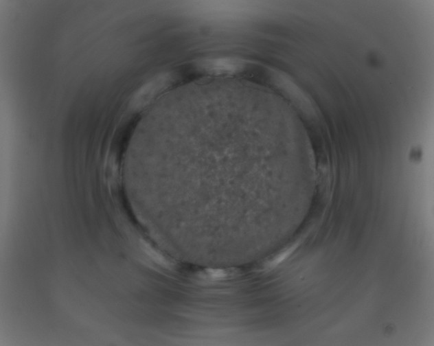 X0000092290381200709281311