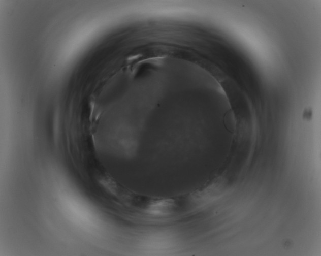 X0000092290382200709281311