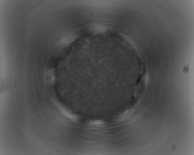 X0000092290383200709281311