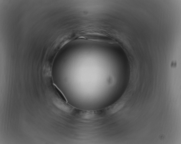 X0000092290384200709281311