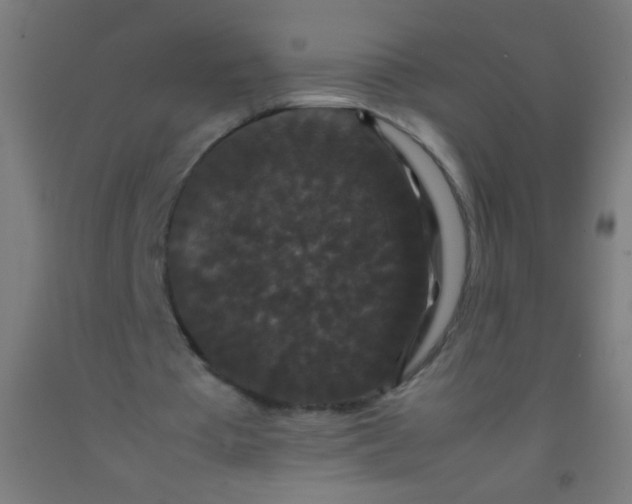 X0000092290385200709281310