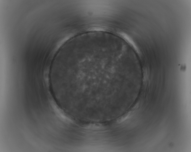 X0000092290386200709281310