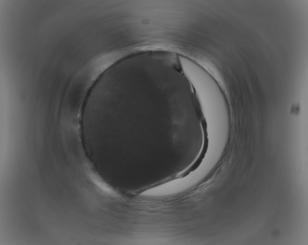 X0000092290389200709281310