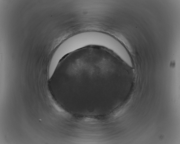 X0000092290393200709281310