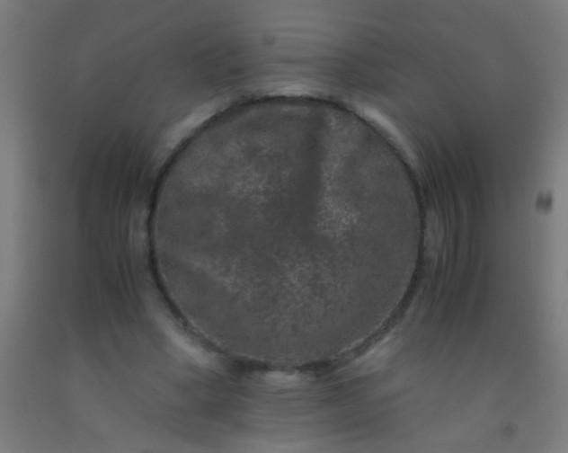 X0000092290394200709281310