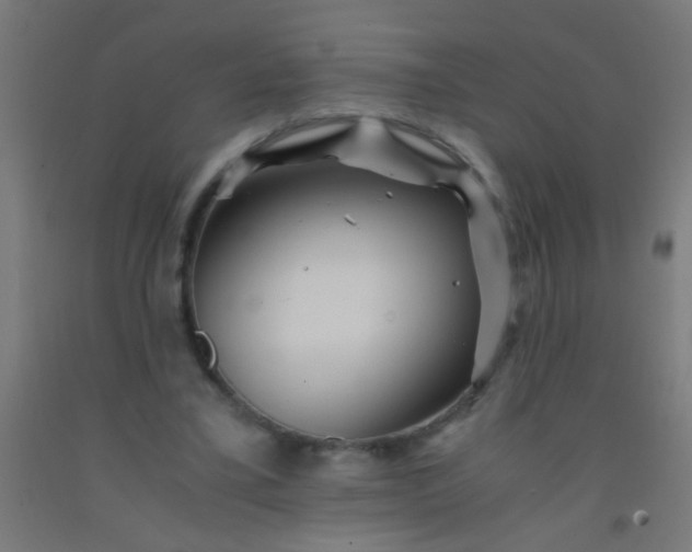 X0000092290395200709281310