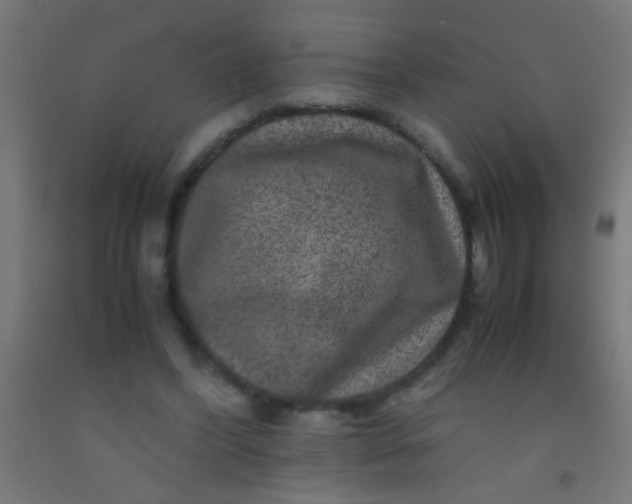 X0000092290396200709281310