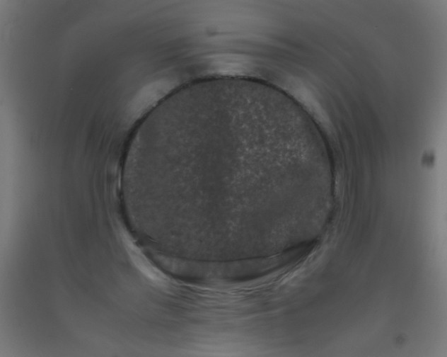 X0000092290397200709281310