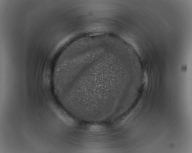 X0000092290400200709281310