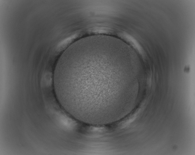 X0000092290401200709281310