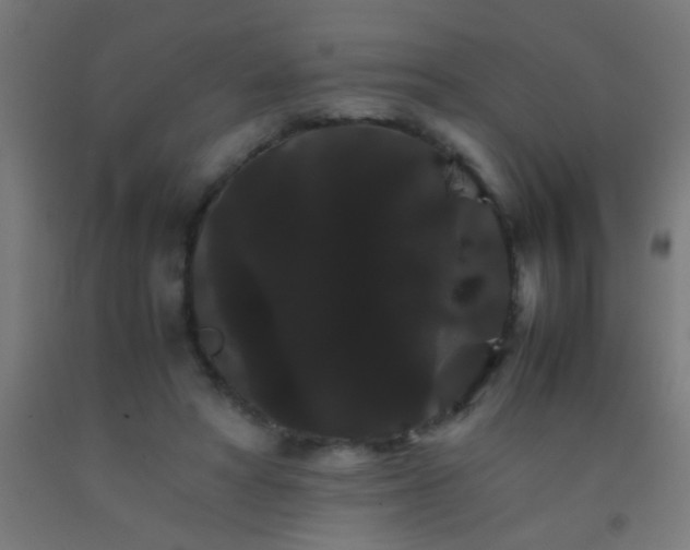 X0000092290402200709281310