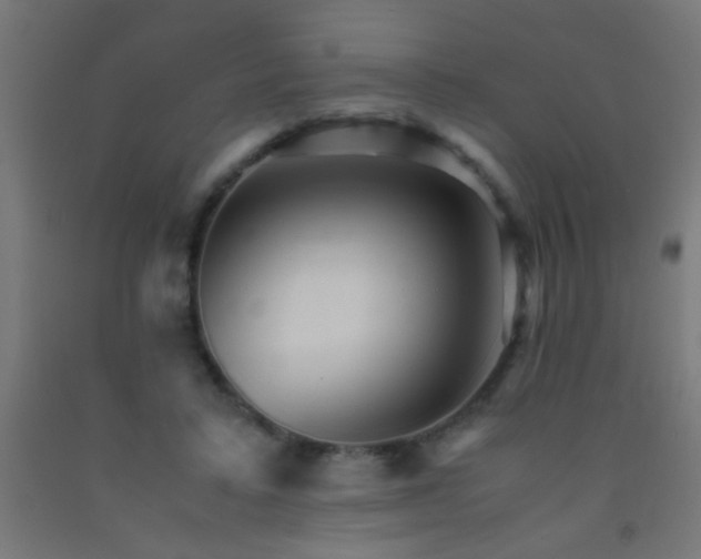 X0000092290403200709281310