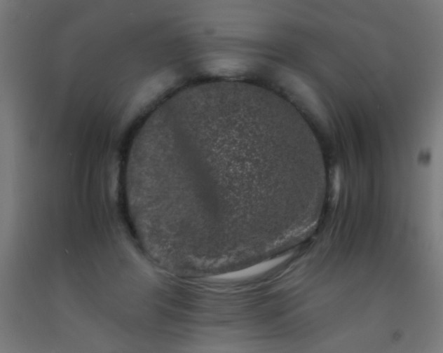 X0000092290404200709281310