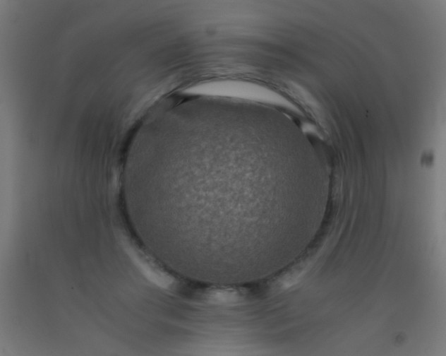 X0000092290405200709281310