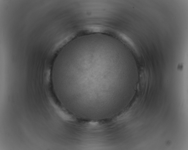 X0000092290406200709281310