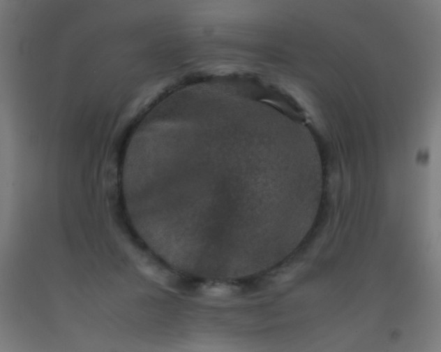 X0000092290407200709281310