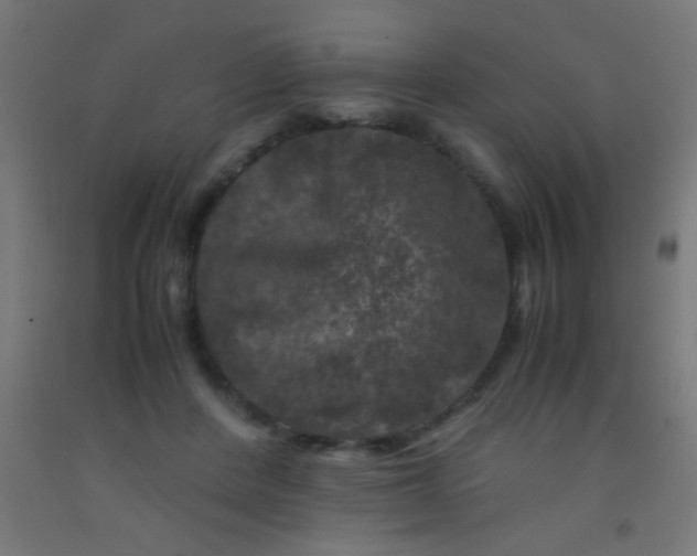 X0000092290408200709281310