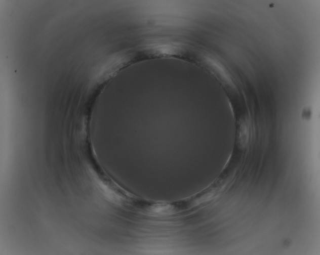 X0000092290410200709281310