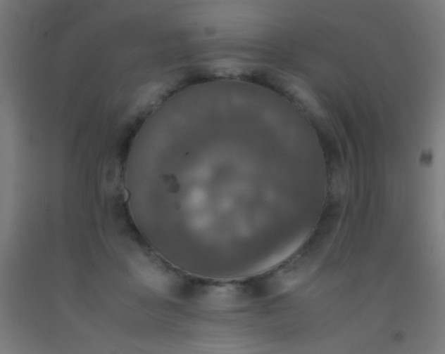 X0000092290411200709281310