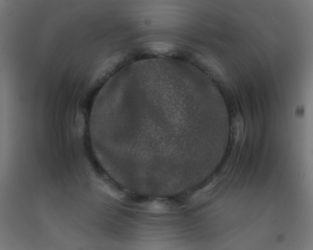 X0000092290412200709281310