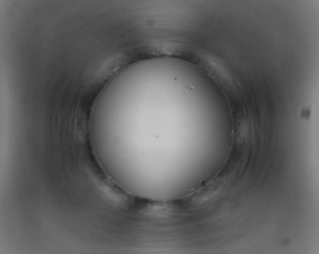 X0000092290414200709281310