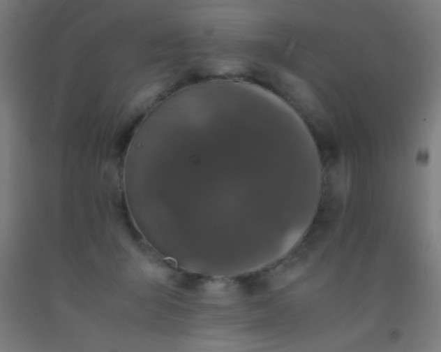 X0000092290415200709281310