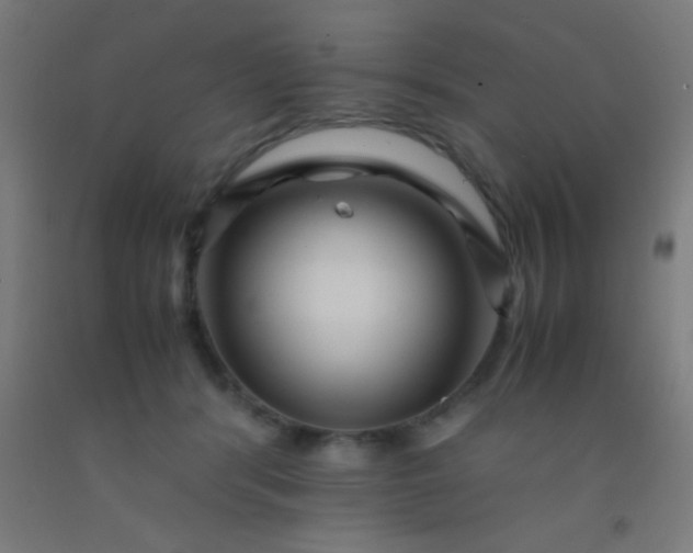 X0000092290416200709281310