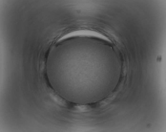 X0000092290417200709281310