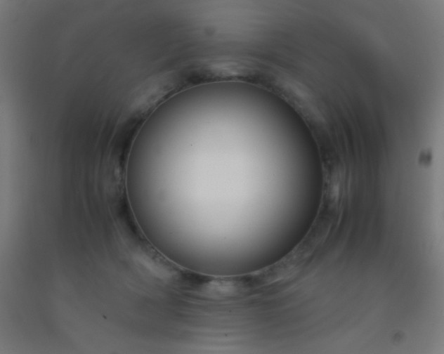 X0000092290418200709281310