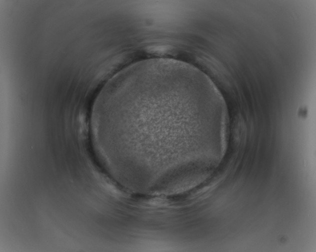 X0000092290420200709281310