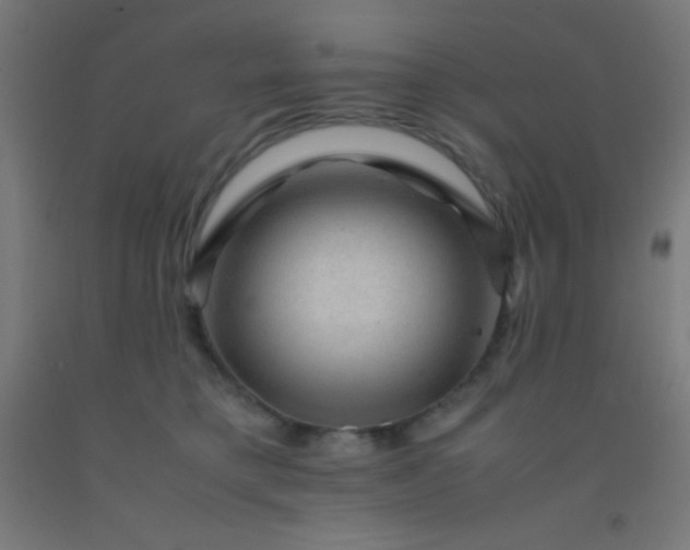 X0000092290421200709281310