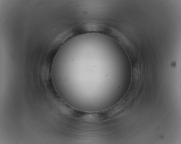 X0000092290422200709281310