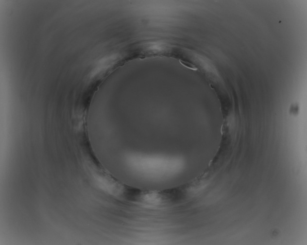 X0000092290423200709281310