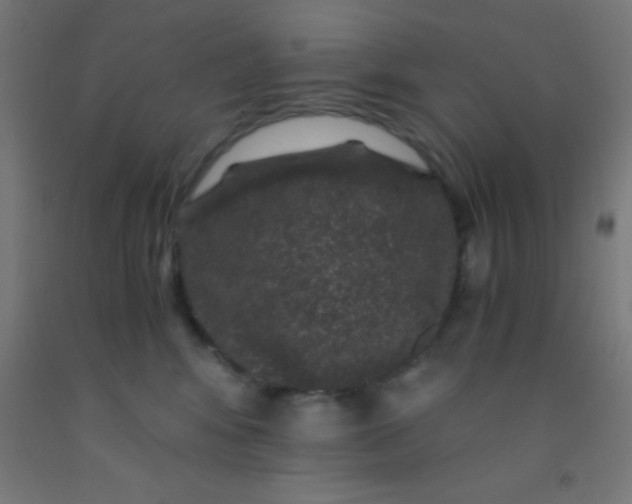 X0000092290424200709281310