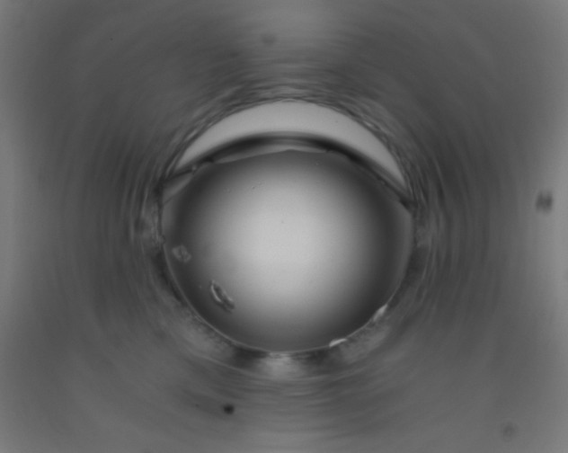 X0000092290425200709281310