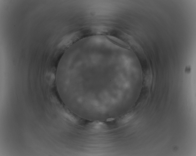 X0000092290427200709281310