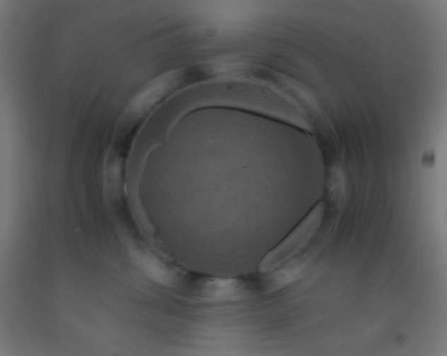 X0000092290428200709281310