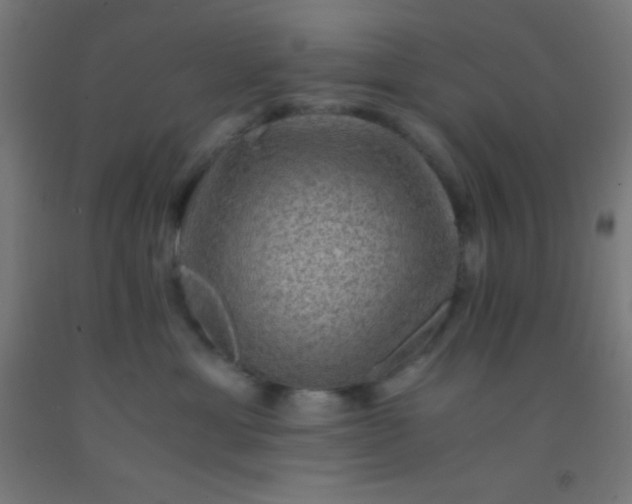 X0000092290429200709281310