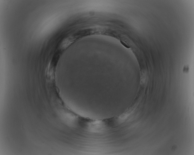 X0000092290431200709281309