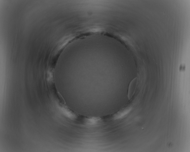 X0000092290432200709281309